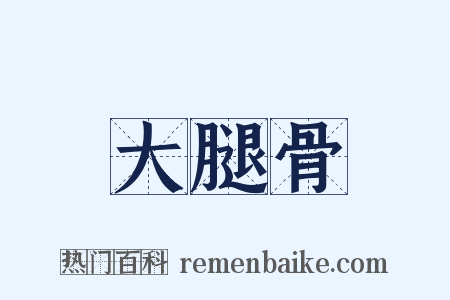 大腿骨是什么意思的图片